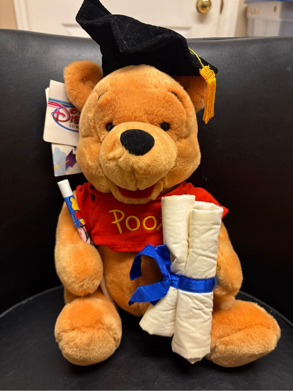 Vintage Disney Store Graduation Winnie the Pooh Plush with Tag